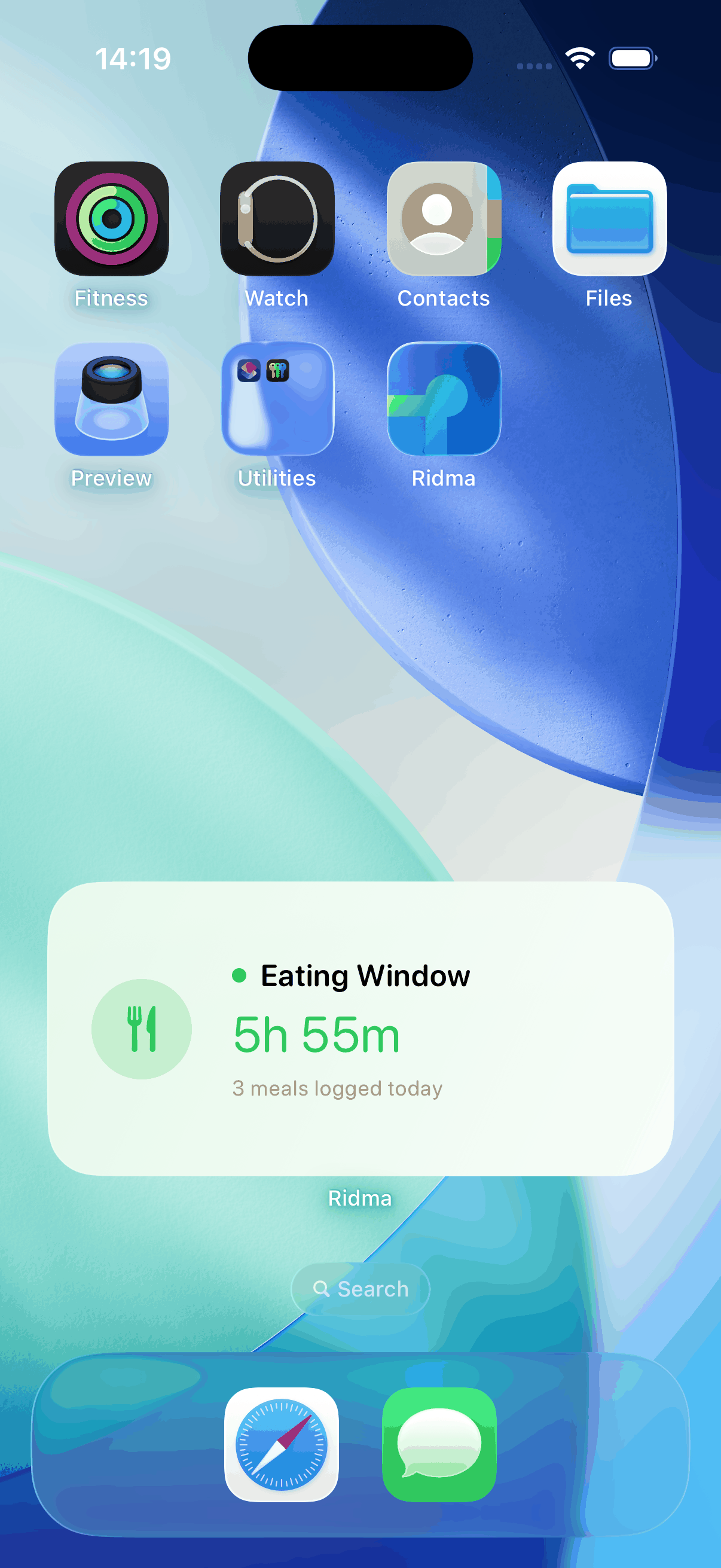 The Ridma Home Screen widget showing the current eating window and meals logged today